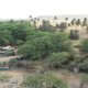 26- L'oasis de Rabil 